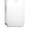 iPhone 16 Pro Max, 256 ГБ, Белый Титан