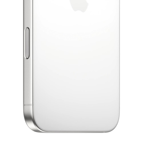 iPhone 16 Pro Max, 256 ГБ, Белый Титан