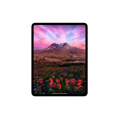 iPad Pro M4, 11" дюймов Wi-Fi 512 ГБ, Серебристый