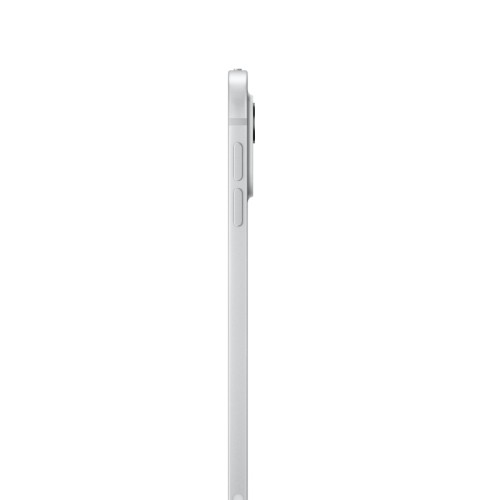 iPad Pro M4, 11" дюймов Wi-Fi 512 ГБ, Серебристый