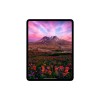 iPad Pro M4, 11" дюймов Wi-Fi 512 ГБ, Чёрный космос