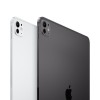 iPad Pro M4, 11" дюймов Wi-Fi 512 ГБ, Чёрный космос