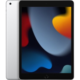 iPad 10,2 (2021) Wi-Fi 64 ГБ, Серебристый