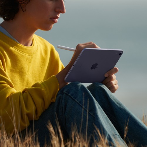 iPad mini (2021) Wi-Fi 64 ГБ, Розовый