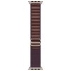 Apple Watch Ultra 2 GPS + Cellular, 49 мм, корпус из титана, ремешок Alpine цвета индиго, M